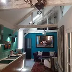 Le Loft De La Salamandre Appartement *