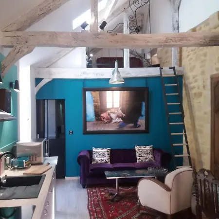 Le Loft De La Salamandre 公寓 *